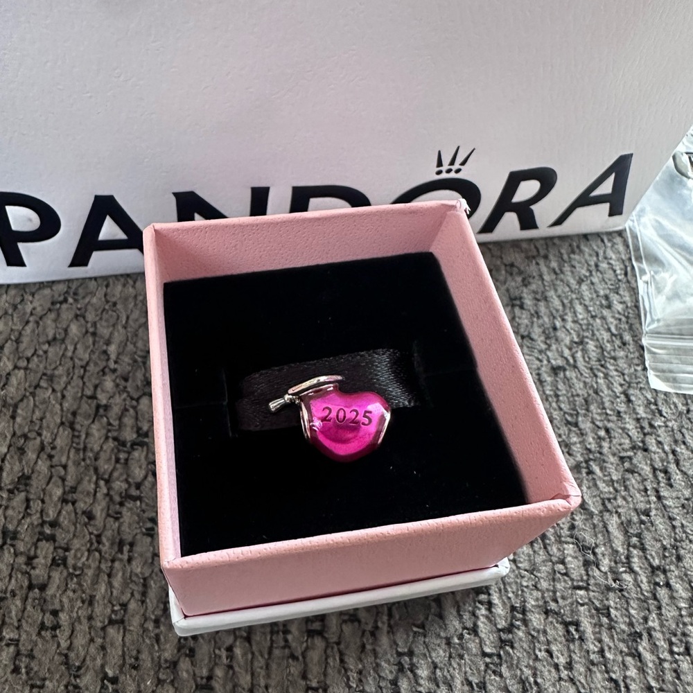 Pink Heart Charm 2025 💖